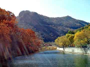 管家婆黑白马报图库，惊悚旅店